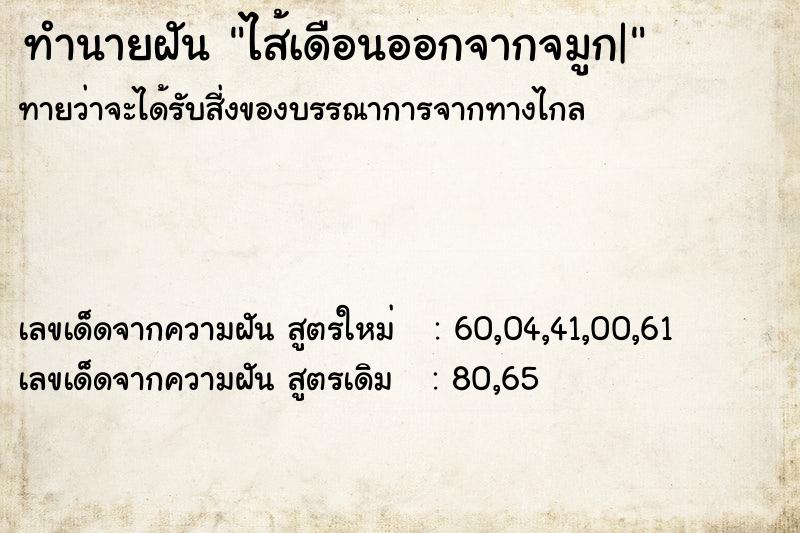 ทำนายฝัน ไส้เดือนออกจากจมูก| ทำนายฝัน ไส้เดือนออกจากจมูก|